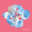 Lovescream (소품집) 앨범 상세정보